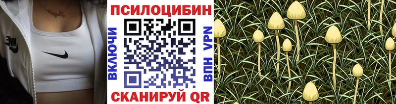 как найти   Старая Купавна  KRAKEN рабочий сайт  Псилоцибиновые грибы прущие грибы 